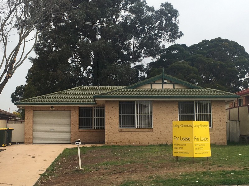 44 Hewitt Street, Colyton NSW 2760