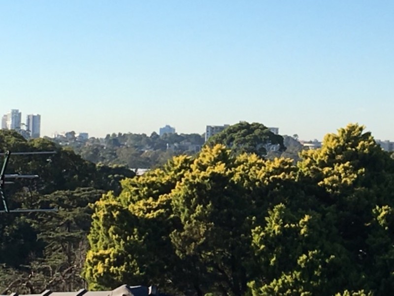 9C Page Street, Wentworthville NSW 2145