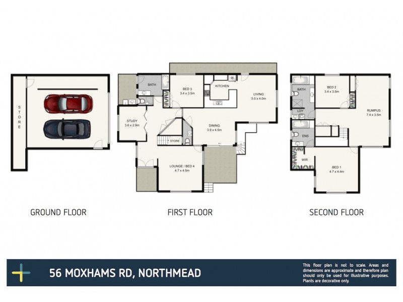 56 Moxhams Road, Northmead NSW 2152 Floorplan