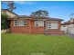 100 Frances Street, South Wentworthville NSW 2145