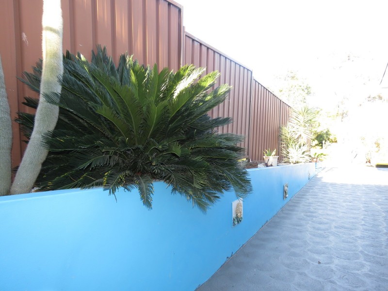 4A Caird Street, Constitution Hill NSW 2145