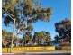 7/4-6  Darcy Road, Westmead NSW 2145