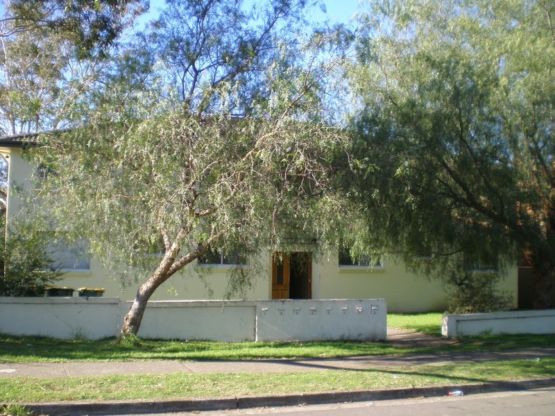 Carramar NSW 2163