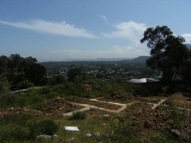 51 Sorensen Drive, Figtree NSW 2525