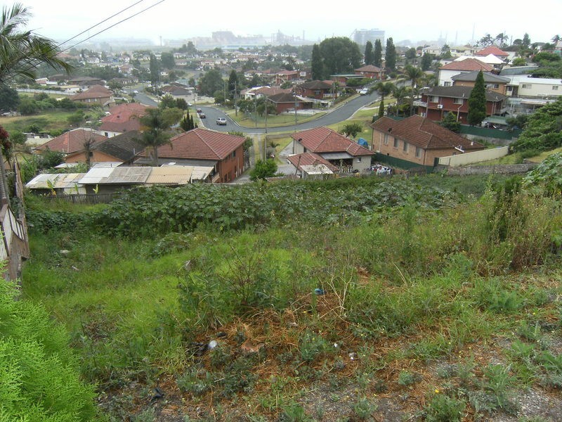 18 Grattan Street, Cringila NSW 2502