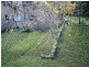 48 Loftus Street, Wollongong NSW 2500