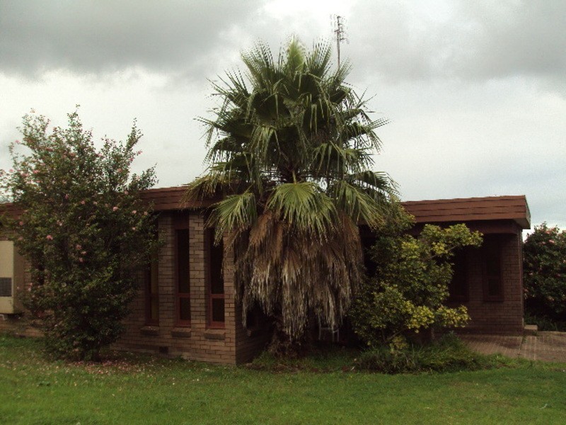 102 Bellevue Road, Figtree NSW 2525