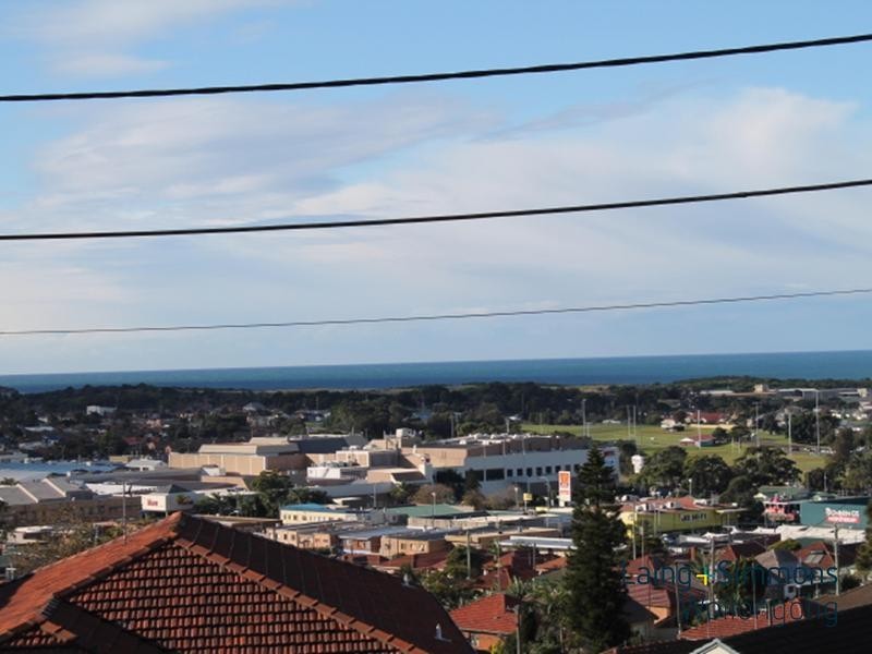 26 Second Avenue North, Warrawong NSW 2502