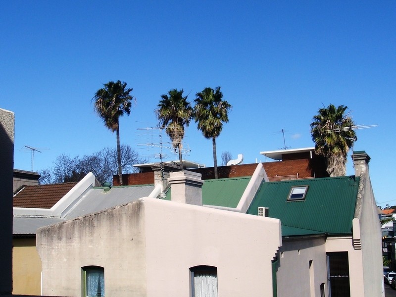 3 Teggs Lane, Chippendale NSW 2008