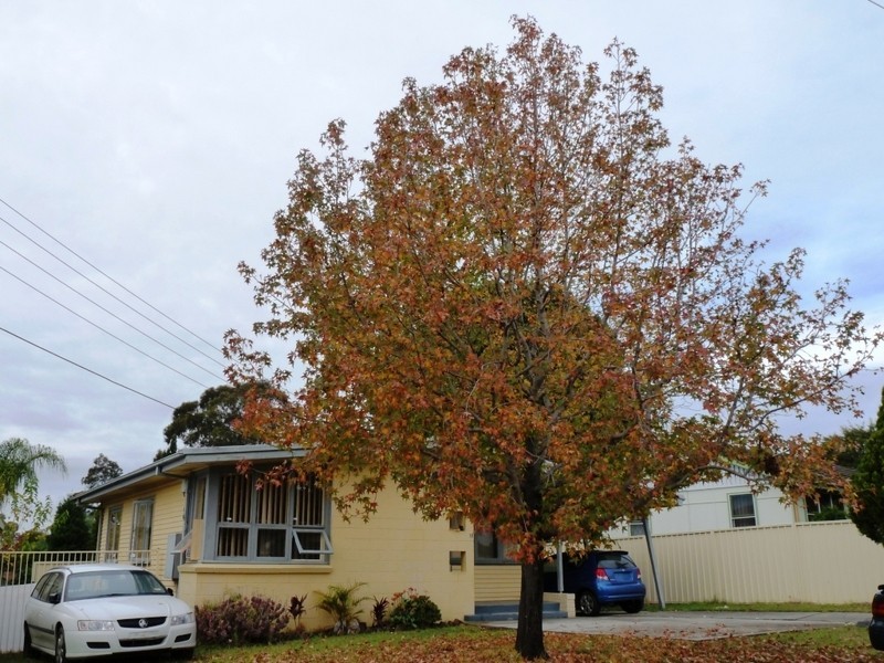 16 Brain Ave, Lurnea NSW 2170