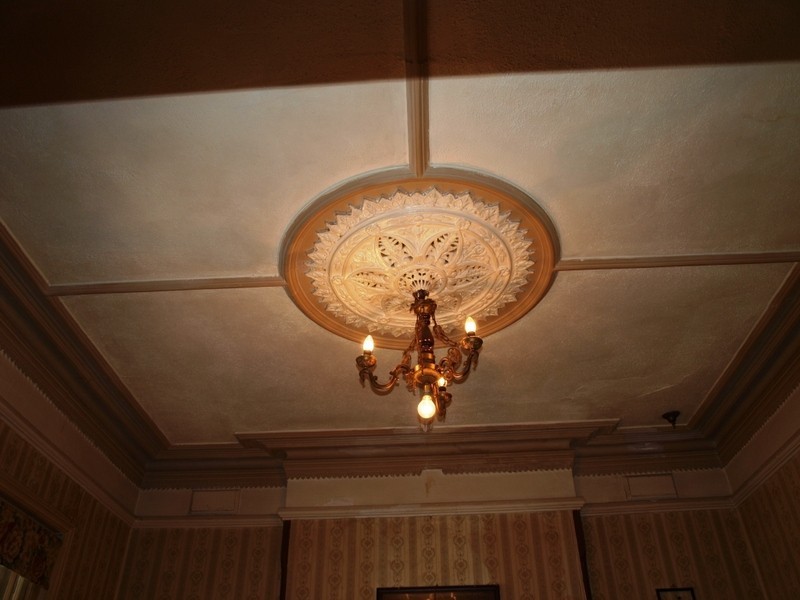 93 James Street, Leichhardt NSW 2040