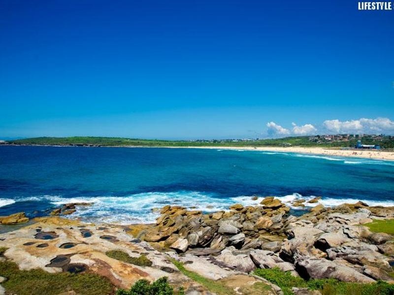 77 New Orleans Crescent, Maroubra NSW 2035