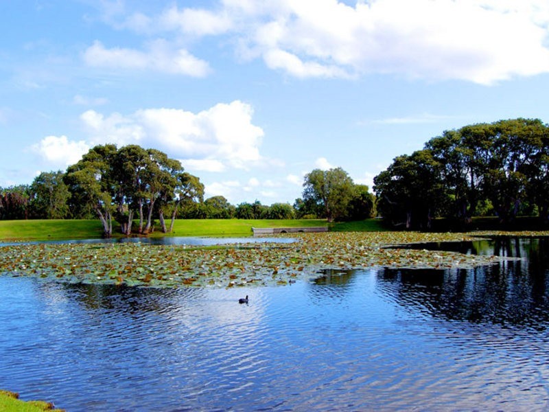 97 York Road, Queens Park NSW 2022