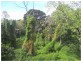 80 Drumalbyn Road, Bellevue Hill NSW 2023