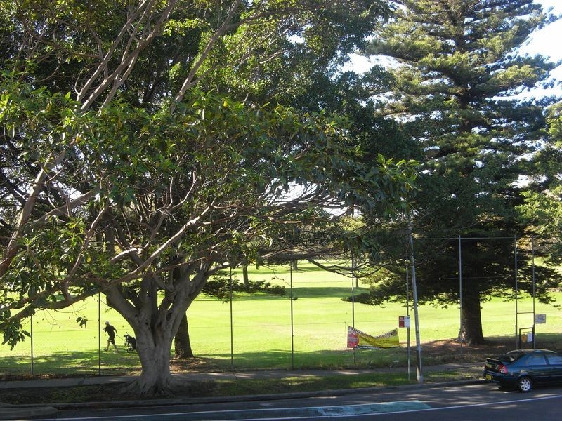 2/17 Plumer Road, Rose Bay NSW 2029