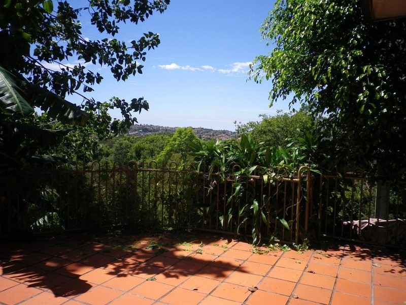 19 Martins Avenue, Bondi NSW 2026