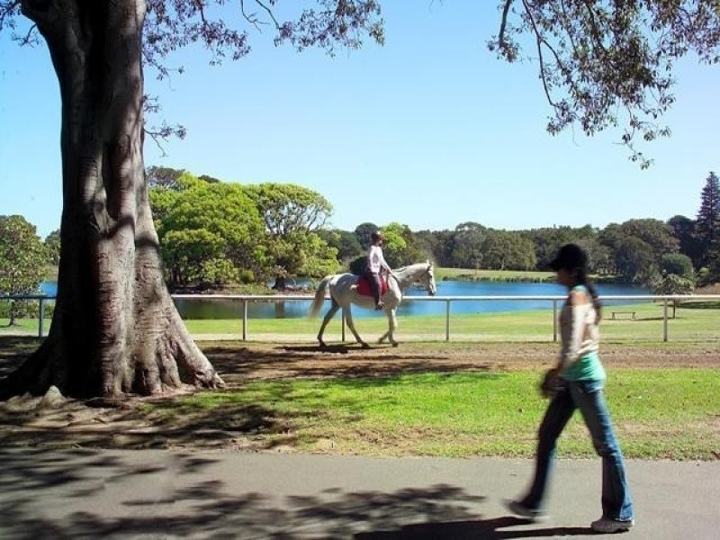 6 Avoca Street, Randwick NSW 2031