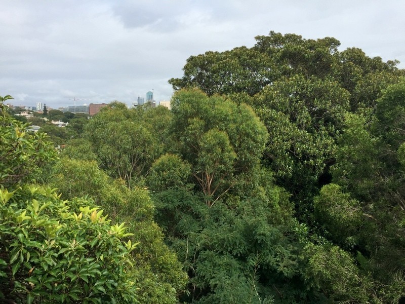 512/8 New McleanStreet, Edgecliff NSW 2027