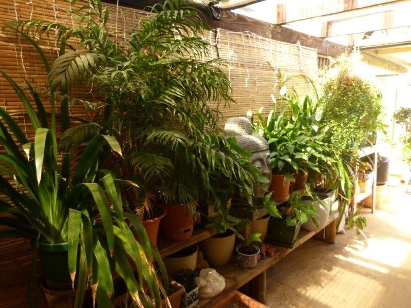 18 Torbert Avenue, Quakers Hill NSW 2763