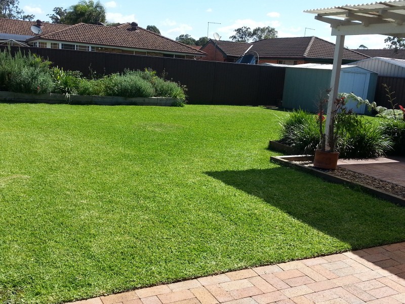 13 Coley Place, Bligh Park NSW 2756