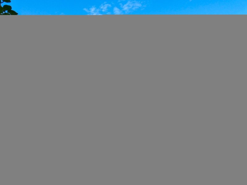 29 Mackay Circuit, Ropes Crossing NSW 2760