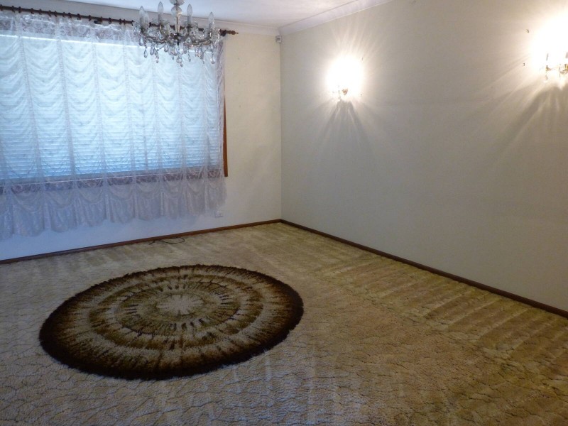 215  Blacktown Road, Blacktown NSW 2148