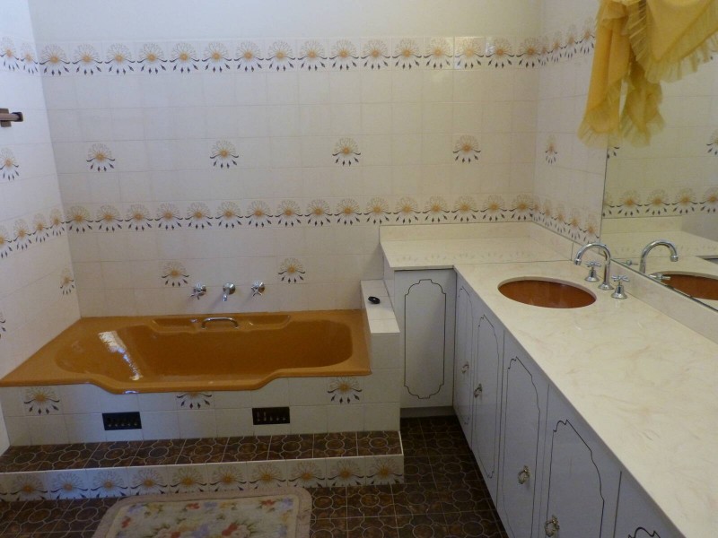 215  Blacktown Road, Blacktown NSW 2148