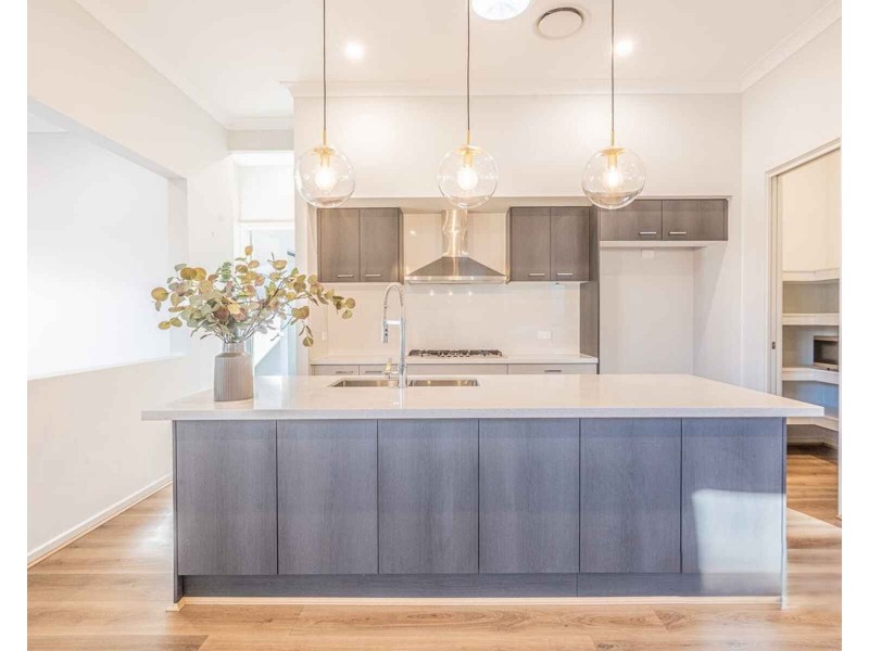 14 Limax Street, Box Hill NSW 2765