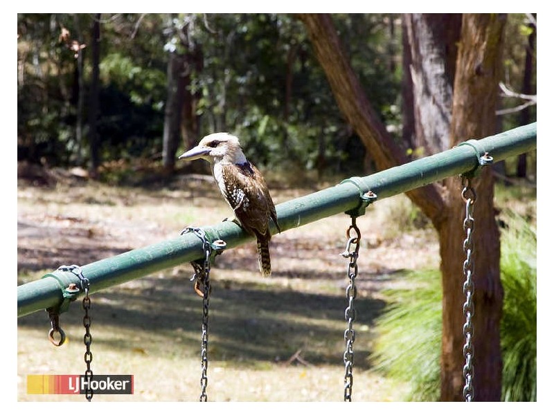 Clear Mountain QLD 4500