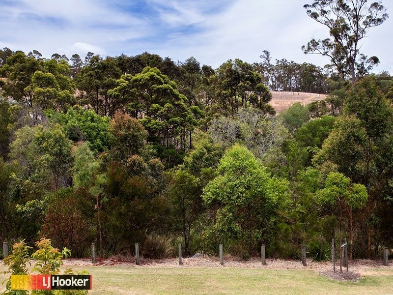 8 Louise Court, Cashmere QLD 4500