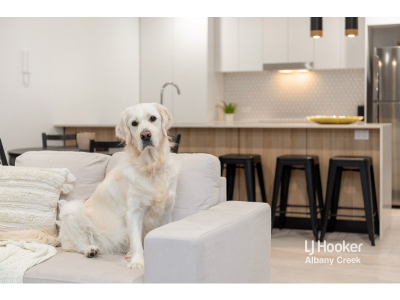 205/45-51 Latham Street, Chermside QLD 4032