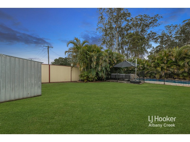 16 Rufus Court, Albany Creek QLD 4035