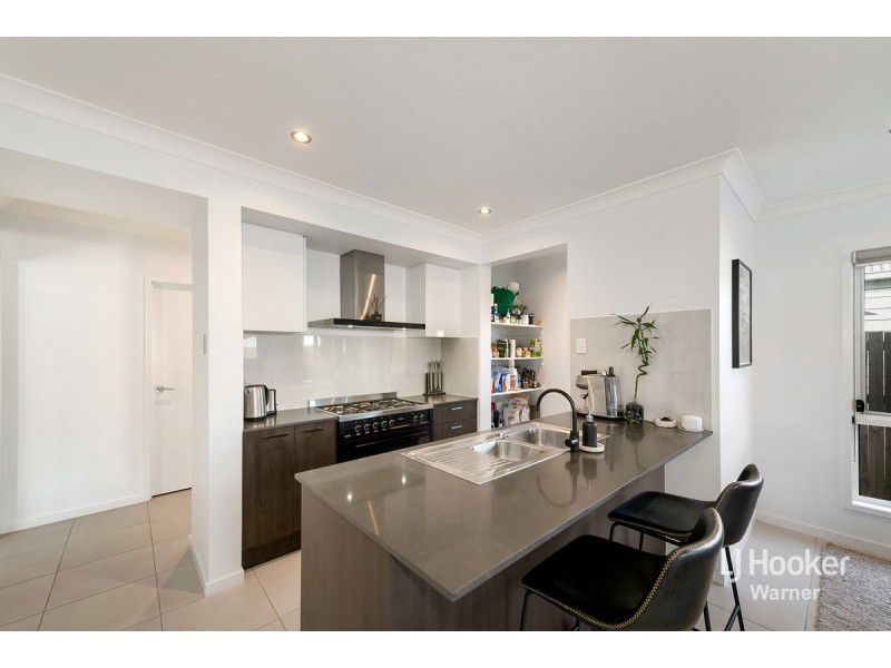 19 Torbay Street, Griffin QLD 4503