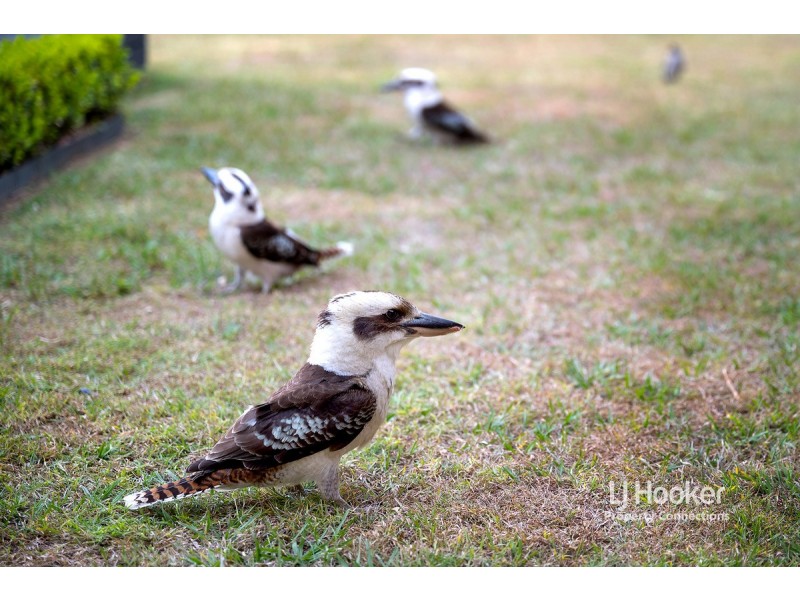 25 Grand View Drive, Ocean View QLD 4521