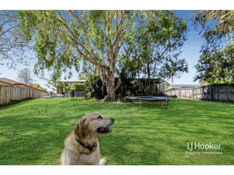 9 Flamingo Drive, Albany Creek QLD 4035