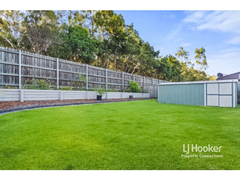 9 Melicope Place, Carseldine QLD 4034