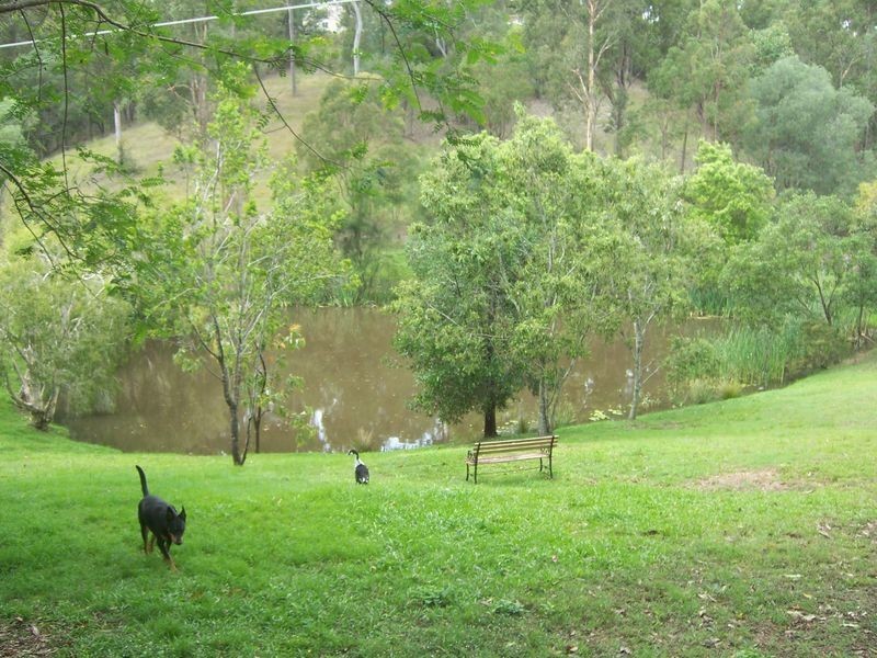 17 Beech Drive, Cashmere QLD 4500