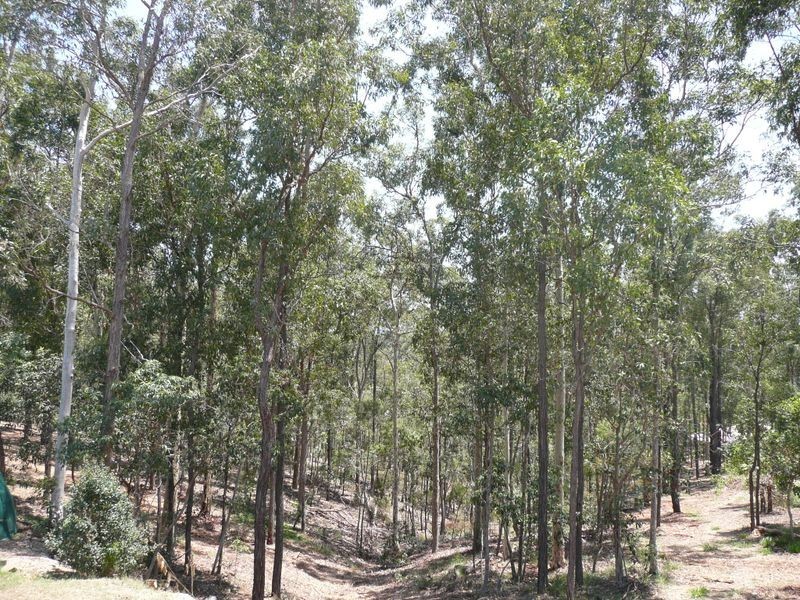 58 Daniel Drive, Albany Creek QLD 4035