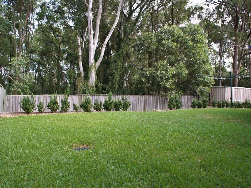 40 Elliott Street, Carseldine QLD 4034