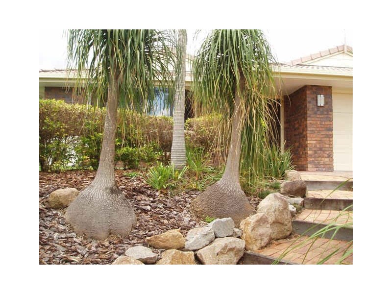 3 Coogee Place, Albany Creek QLD 4035