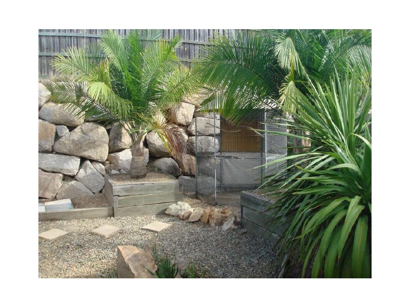 Arana Hills QLD 4054