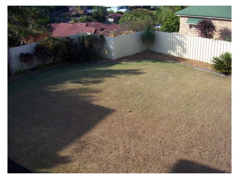 28 Lancewood Drive, Albany Creek QLD 4035