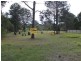 Loganholme QLD 4129