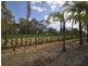 259 Holloway Road, Chambers Flat QLD 4133