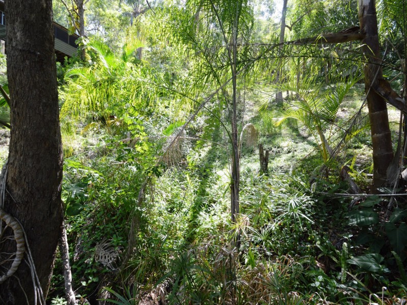 18 Lindsay Court, Cornubia QLD 4130