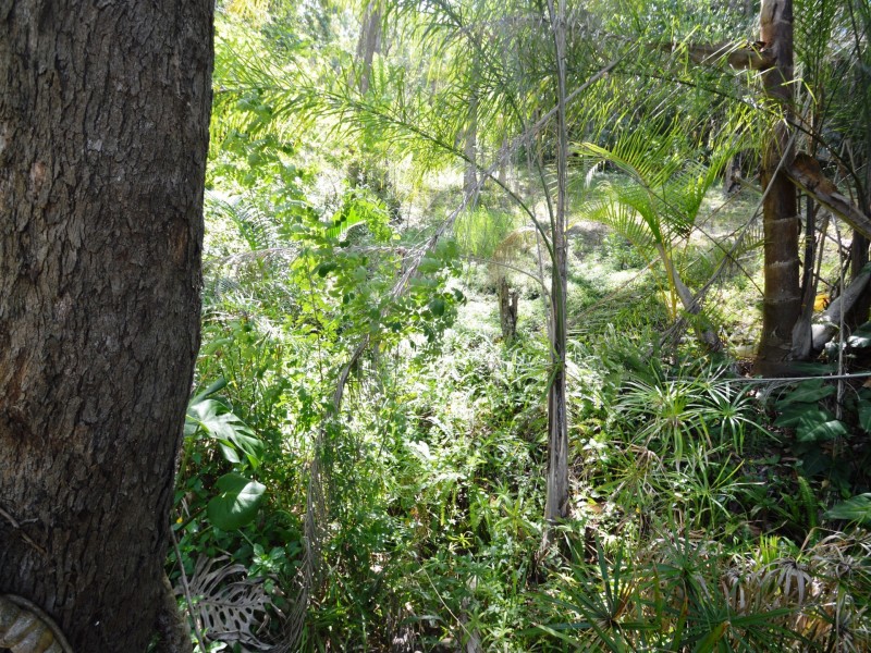 18 Lindsay Court, Cornubia QLD 4130