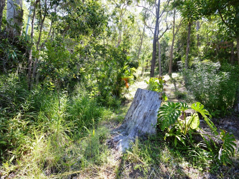 18 Lindsay Court, Cornubia QLD 4130