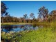 52 Sungold Road, Chambers Flat QLD 4133