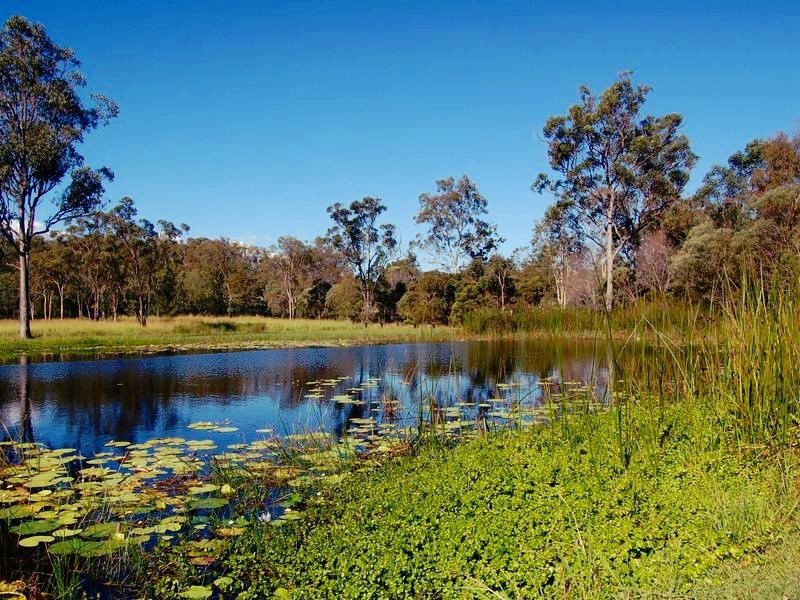 52 Sungold Road, Chambers Flat QLD 4133