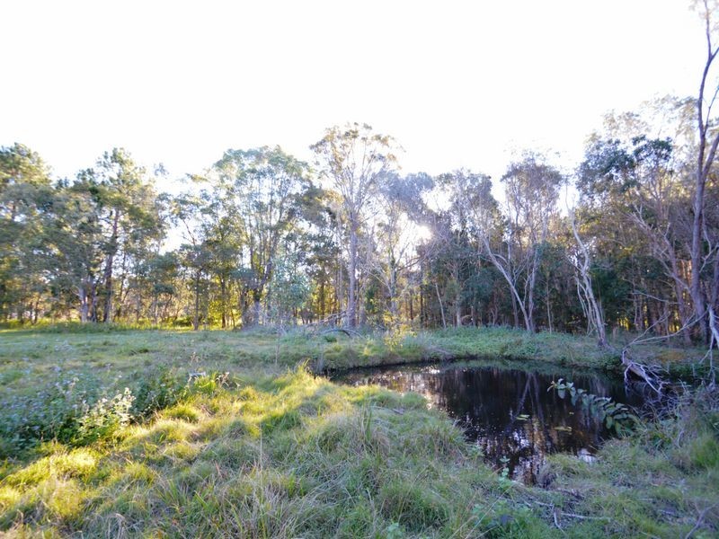 976 Beenleigh-Redland Bay Road, Carbrook QLD 4130